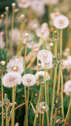 Similar image 21272998