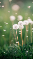 Similar image 21273000