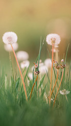 Similar image 21273001