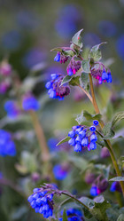 Similar image 21273002