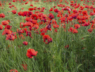 Similar image 21273344