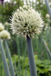 Similar image 21273324