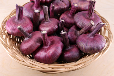 Similar image 21274100