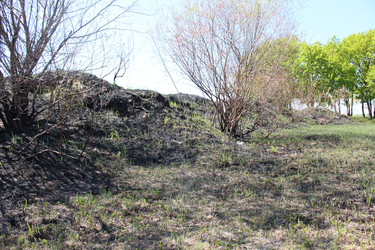 Similar image 21276540