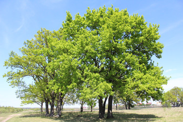 Similar image 21276541