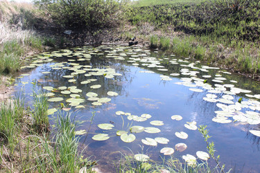 Similar image 21276543