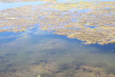 Similar image 21276544