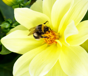 Similar image 21280703