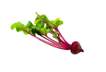 Similar image 21280707