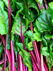 Similar image 21280708