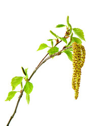 Similar image 21280712