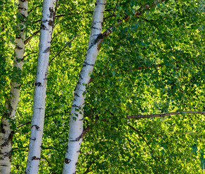 Similar image 21280718