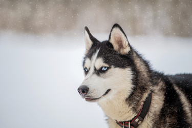 Similar image 21273008