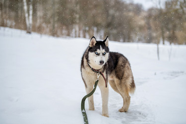 Similar image 21276214