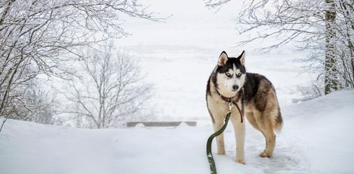 Similar image 21273011