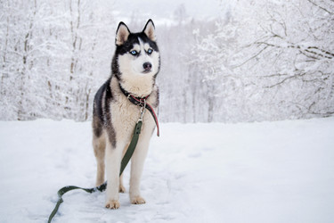 Similar image 21273013