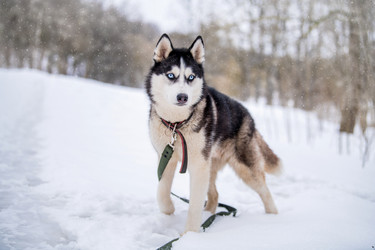 Similar image 21273014