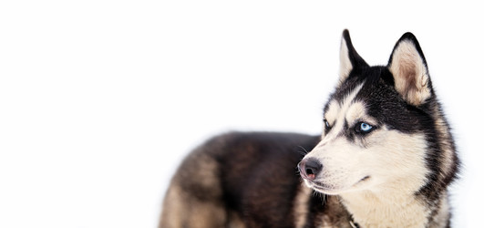 Similar image 21273016