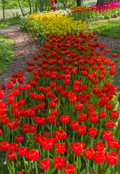 Similar image 21274118