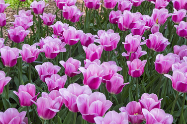 Similar image 21274119