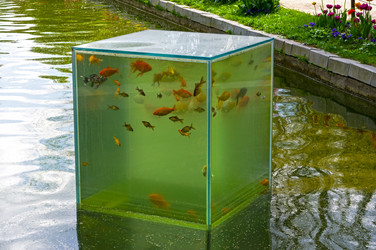 Similar image 21274121