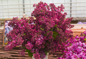 Similar image 21274122