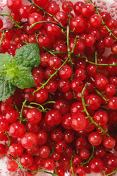 Similar image 21276409