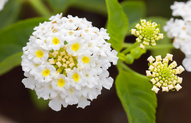 Similar image 21282970