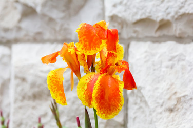 Similar image 21282971