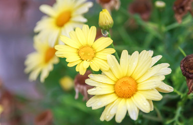 Similar image 21282973