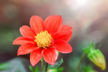 Similar image 21282975