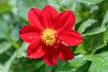 Similar image 21282976