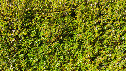 Similar image 21274784