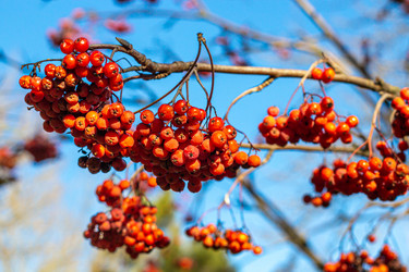 Similar image 21274785