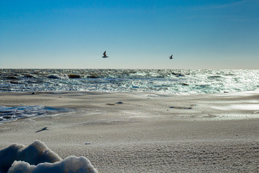 Similar image 21274788