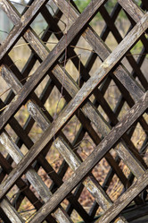 Similar image 21274791