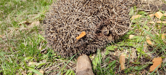 Similar image 21274656