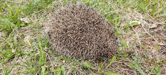 Similar image 21274657