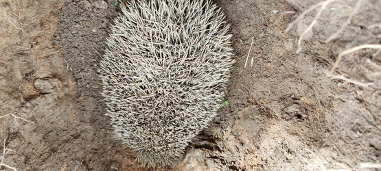 Similar image 21275760