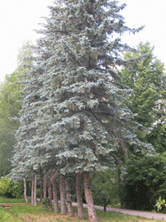 Similar image 21274524