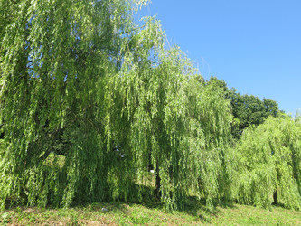 Similar image 21274525