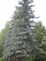 Similar image 21274526