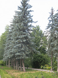 Similar image 21274527