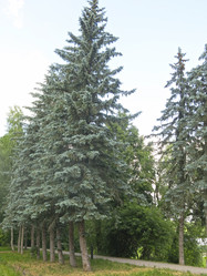 Similar image 21274528