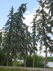 Similar image 21274530