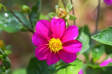 Similar image 21283231