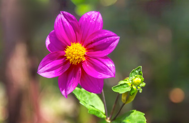 Similar image 21283232