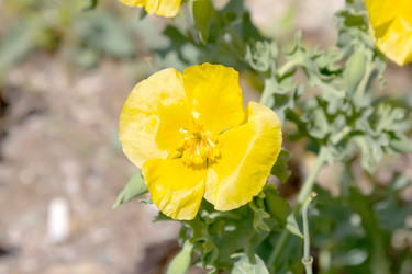 Similar image 21283235