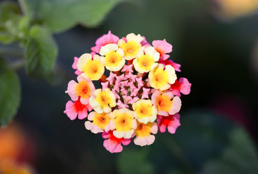 Similar image 21283236