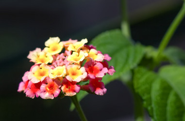 Similar image 21283237